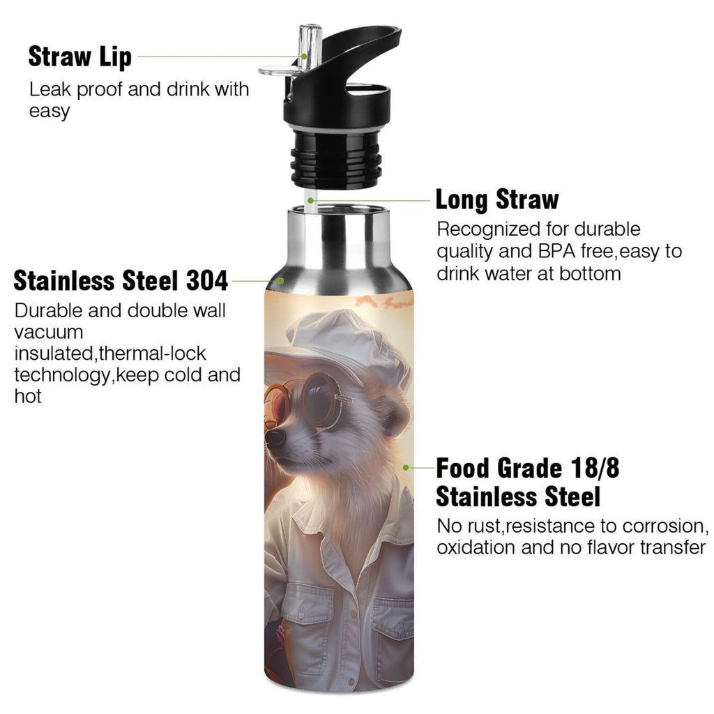 Insulated Stainless Steel Water Bottle with Straw Lid 20 oz L48536