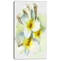 Extra Large Floral Canvas Art A92181