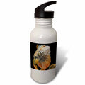 21 oz Sports Water Bottle D653