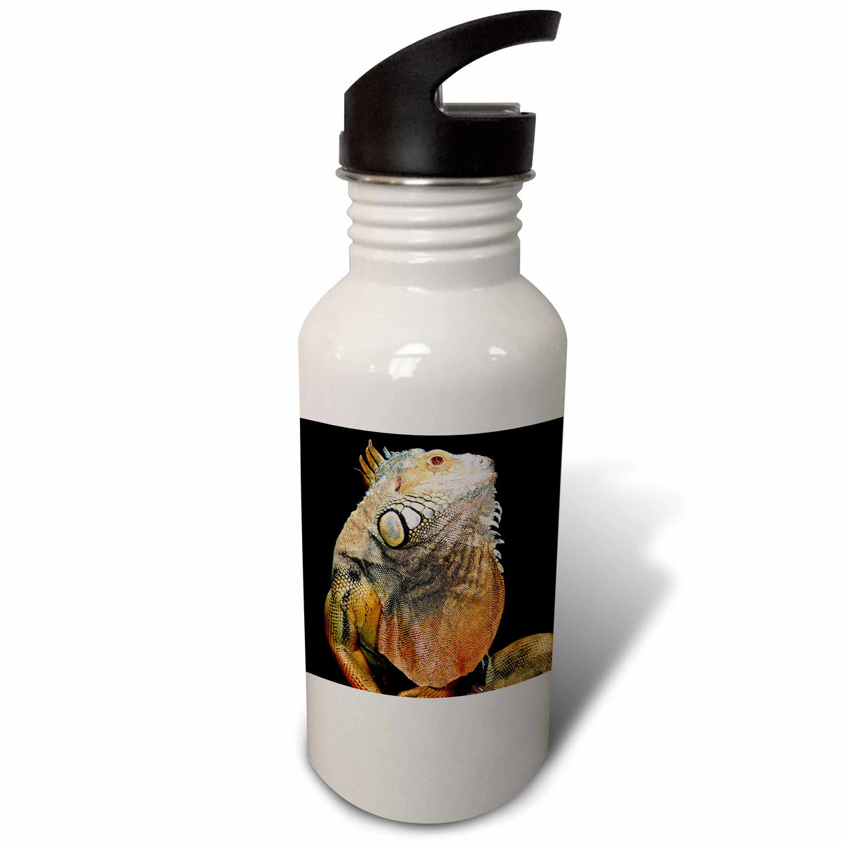 21 oz Sports Water Bottle D653