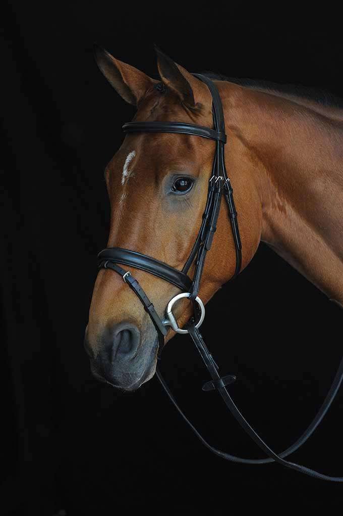 Padded Raised Flash Bridle - Brown - COB A97875
