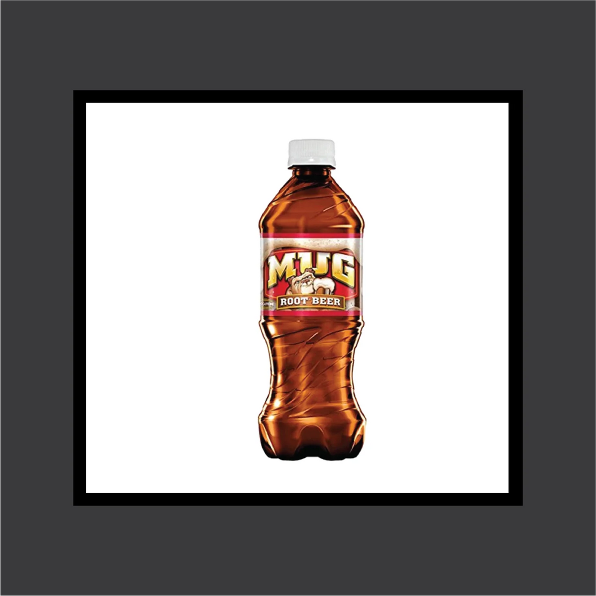 Root Beer Soda 20oz Bottles (Pack of 24) T22694