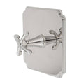 Uncoated Polished Brass Shower Trim Plate with Lever Handle A6444