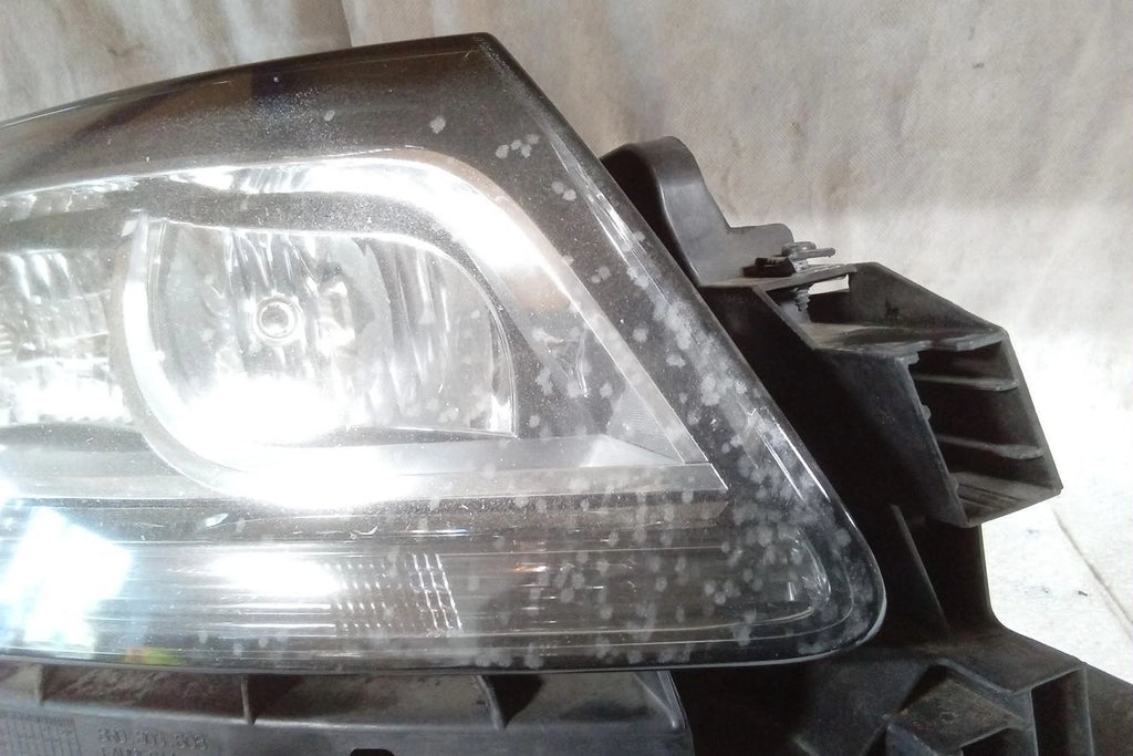 Passenger Side Halogen Head Lamp M6219