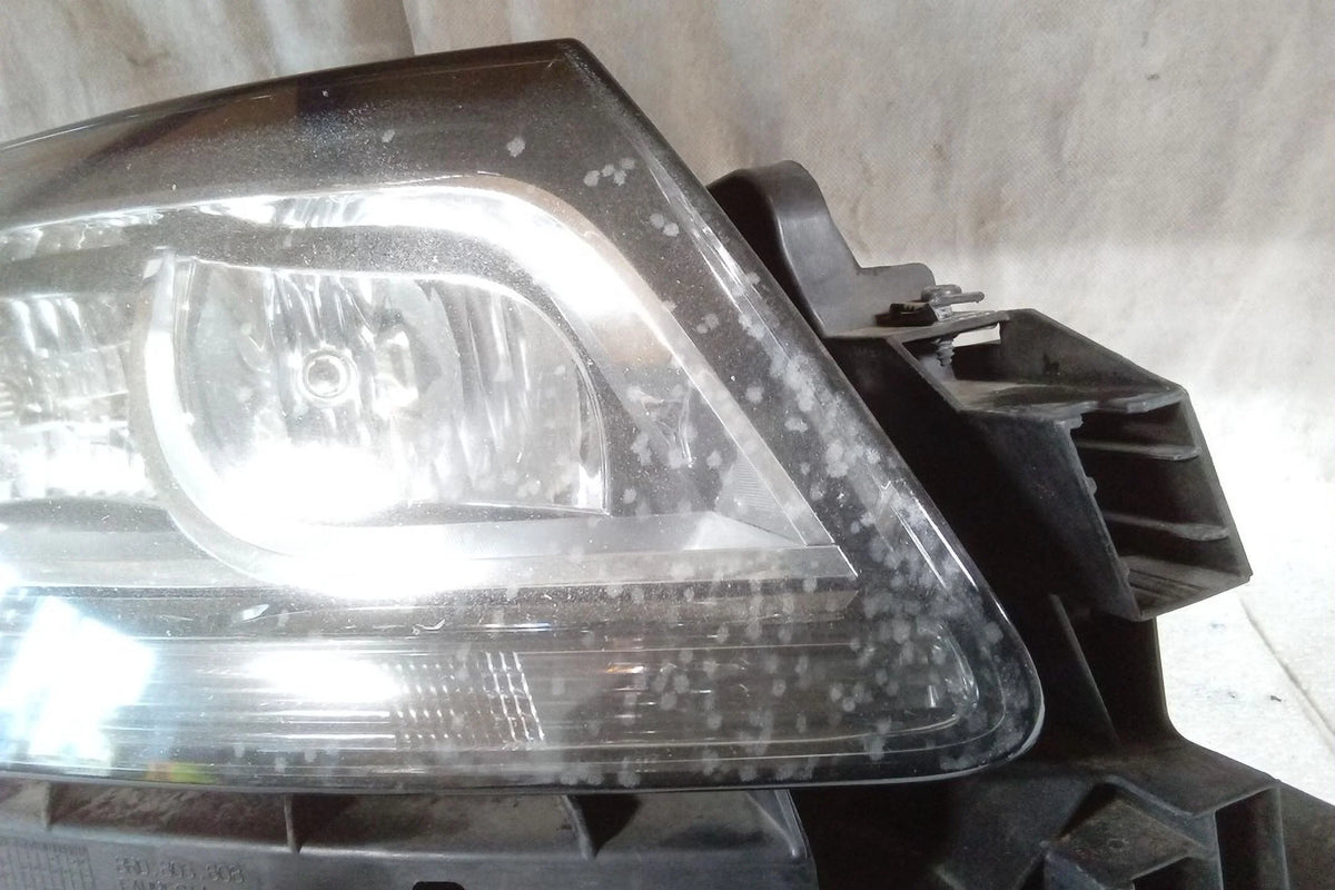 Passenger Side Halogen Head Lamp M6219