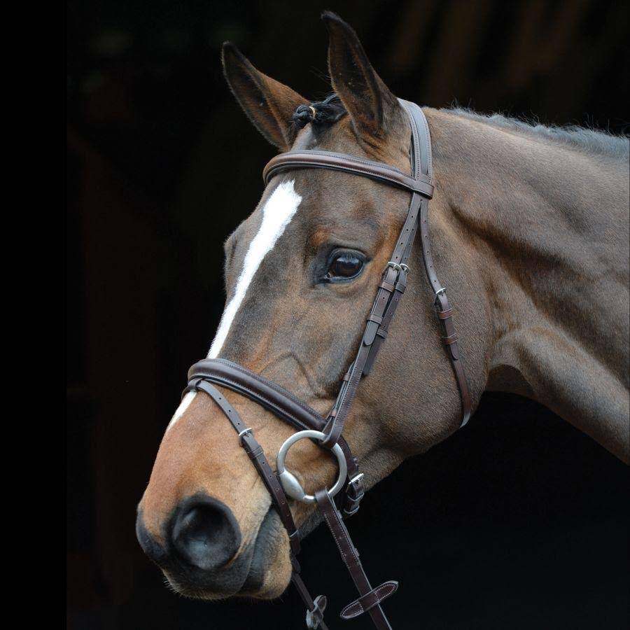 Padded Raised Flash Bridle - Brown - COB A97875