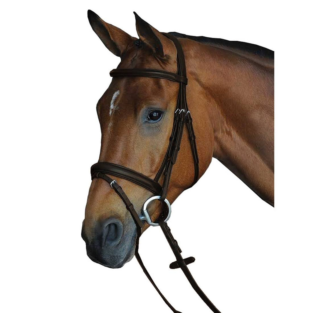 Padded Raised Flash Bridle - Brown - COB A97875