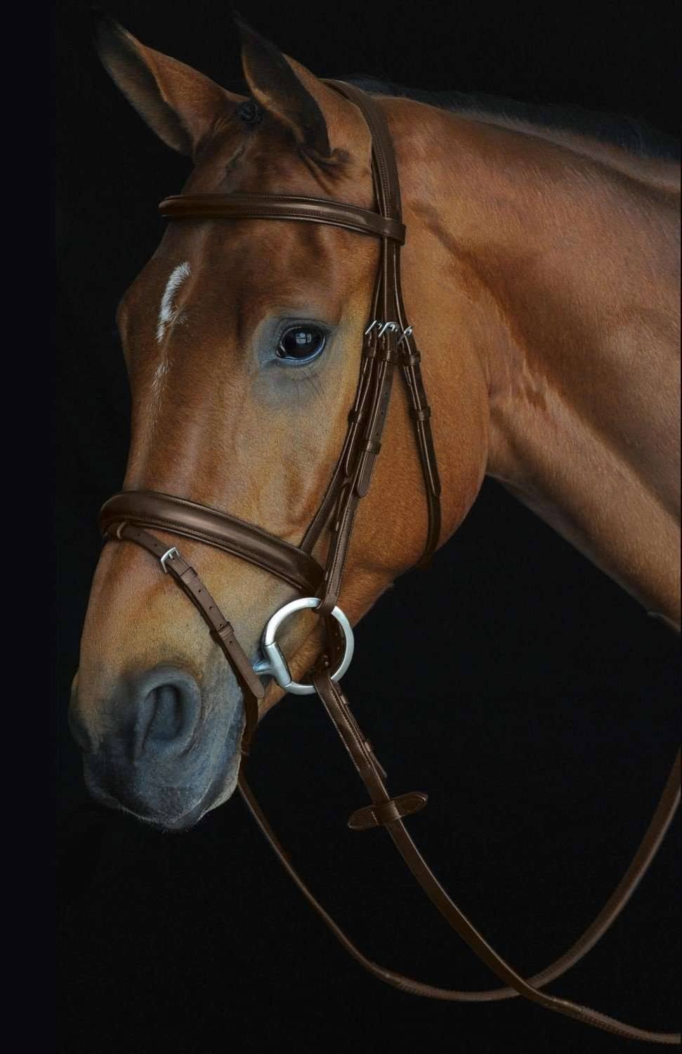 Padded Raised Flash Bridle - Brown - COB A97875