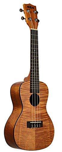 Tenor Ukulele Bundle with Hard Case and Tuner Q10323
