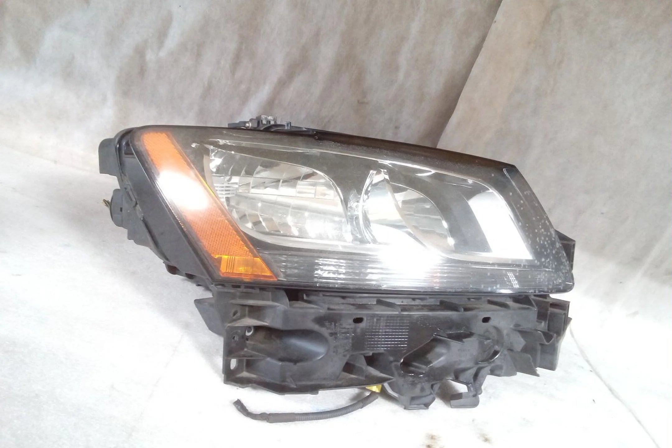 Passenger Side Halogen Head Lamp M6219