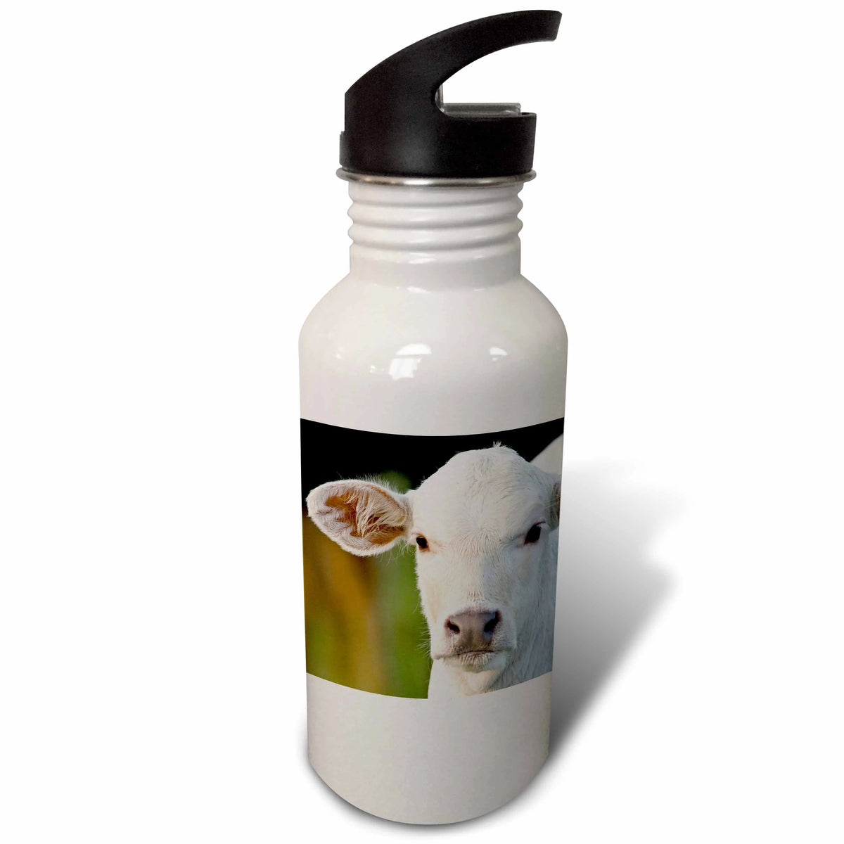 21 oz Sports Water Bottle V74230