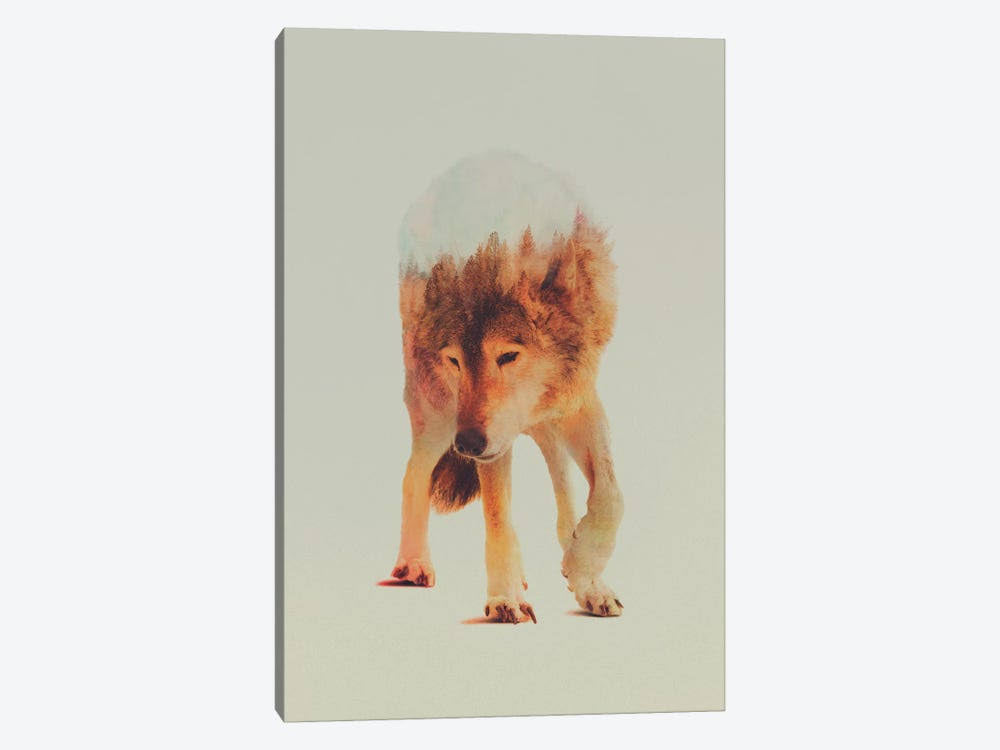 Canvas Wall Decor Prints - Wolf in The Woods N4157
