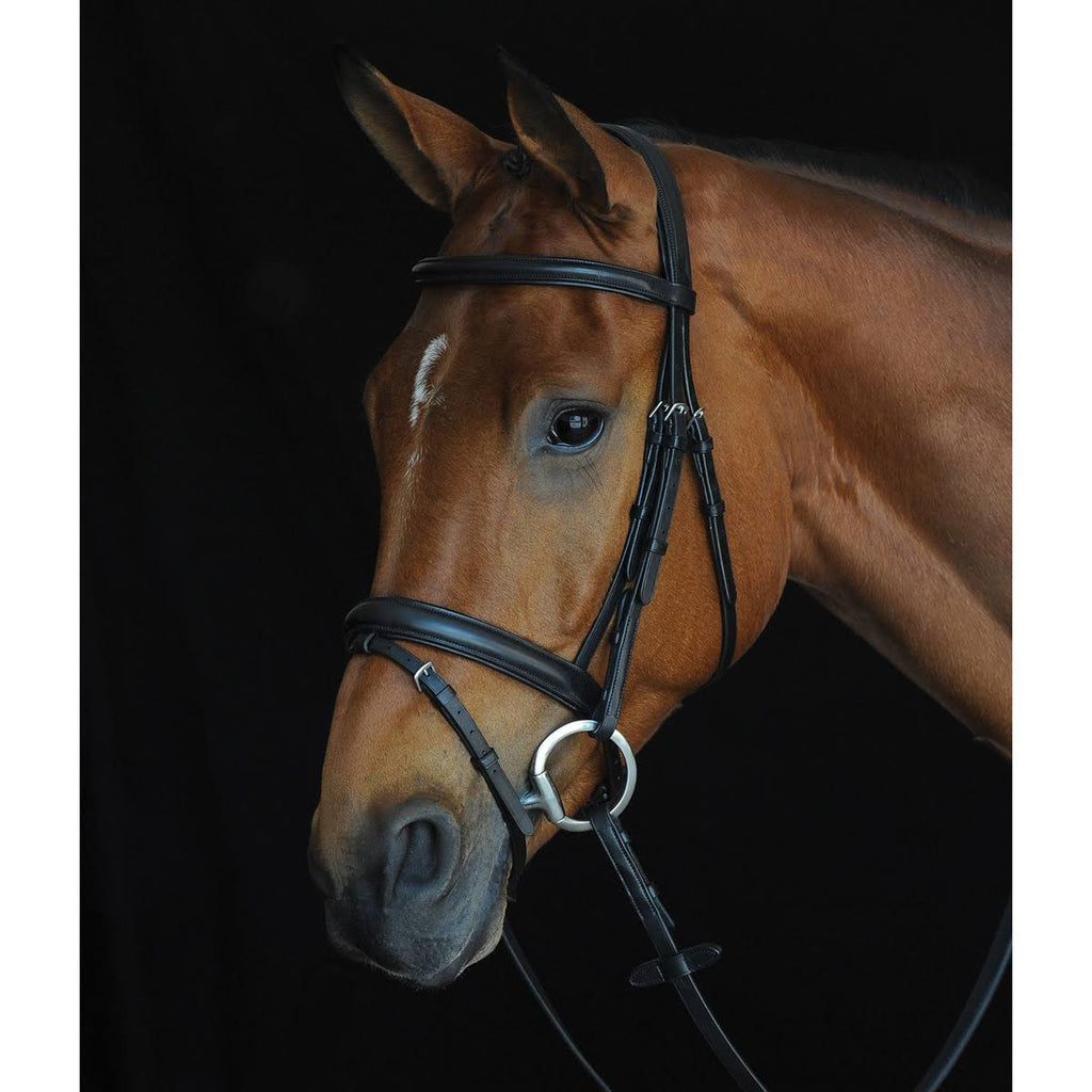 Padded Raised Flash Bridle - Brown - COB A97875