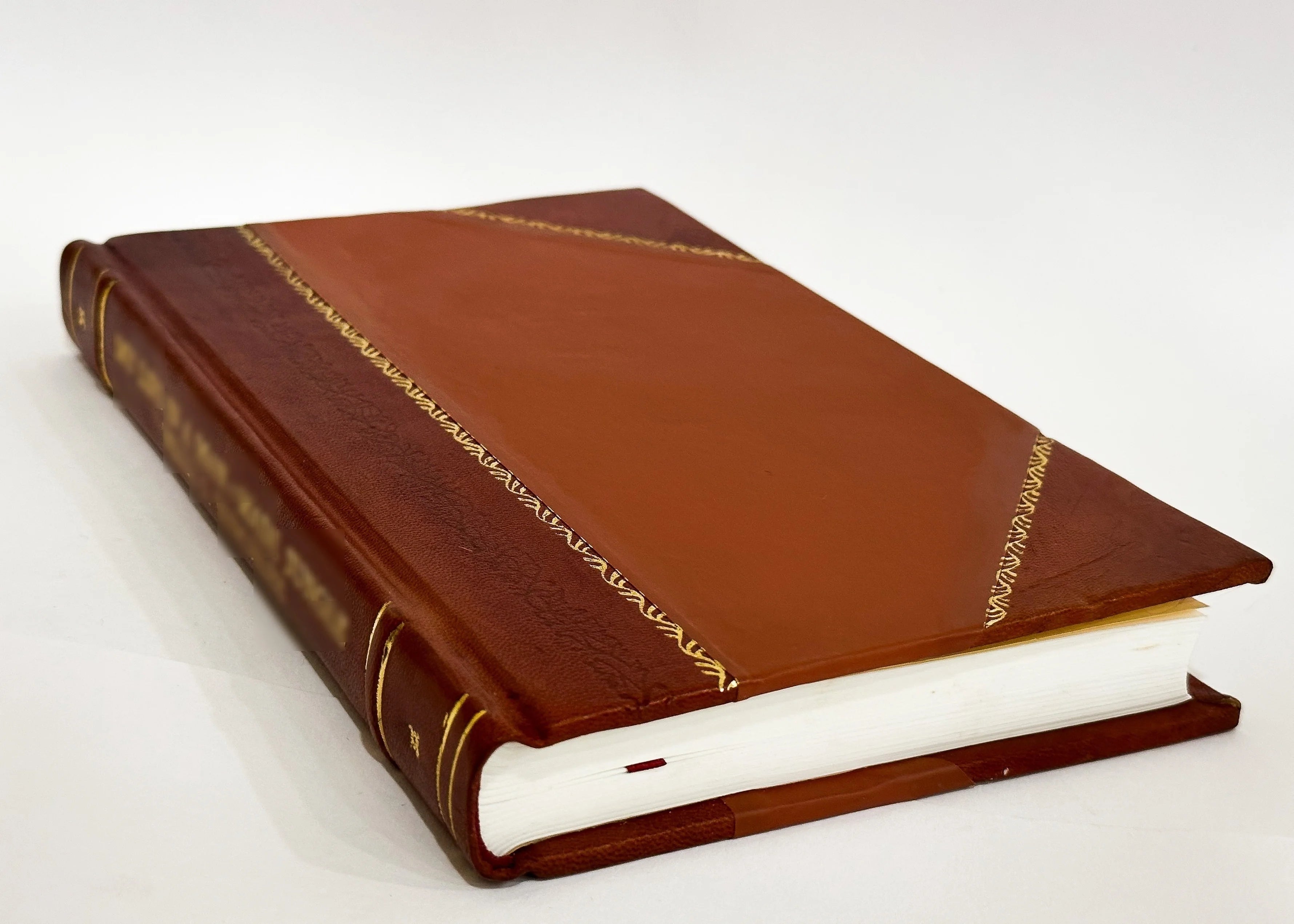 Leather Bound Book L55671