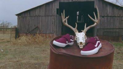 Antique White Vans Kyle Pro 2 L439911