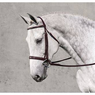 Medium Brown Fancy Show Bridle L637