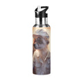 Insulated Stainless Steel Water Bottle with Straw Lid 20 oz L48536