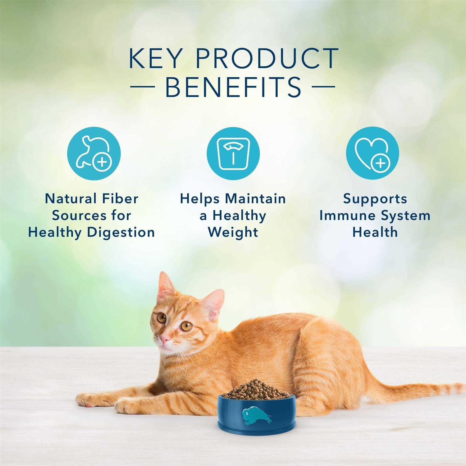 Grain-Free Indoor Adult Dry Cat Food R9365