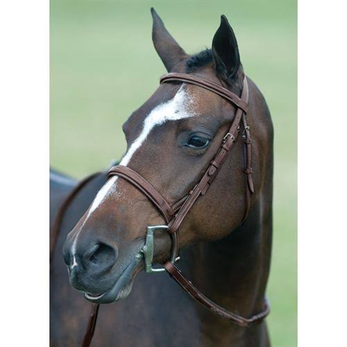 Medium Brown Fancy Show Bridle L637