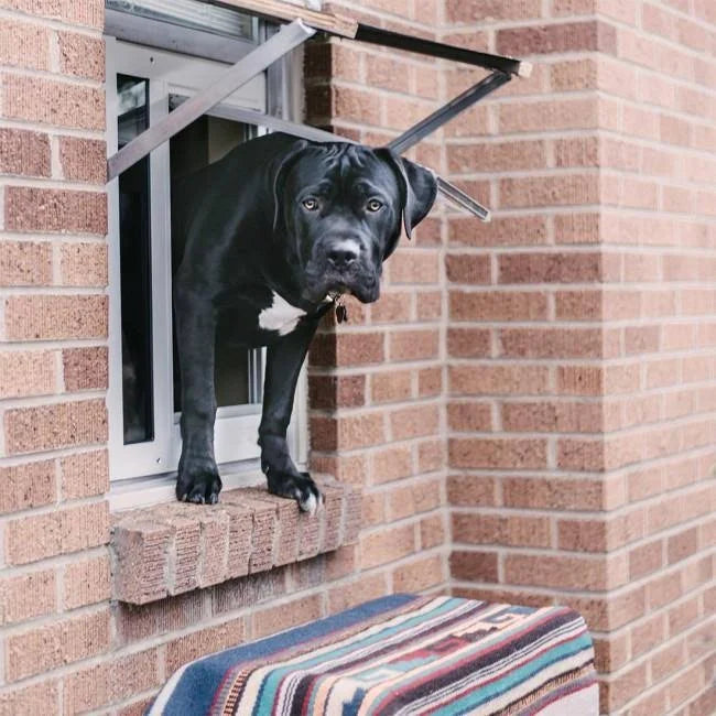 White Large Pet Door D433864
