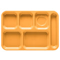 Tropical Yellow Cafeteria Tray G26132