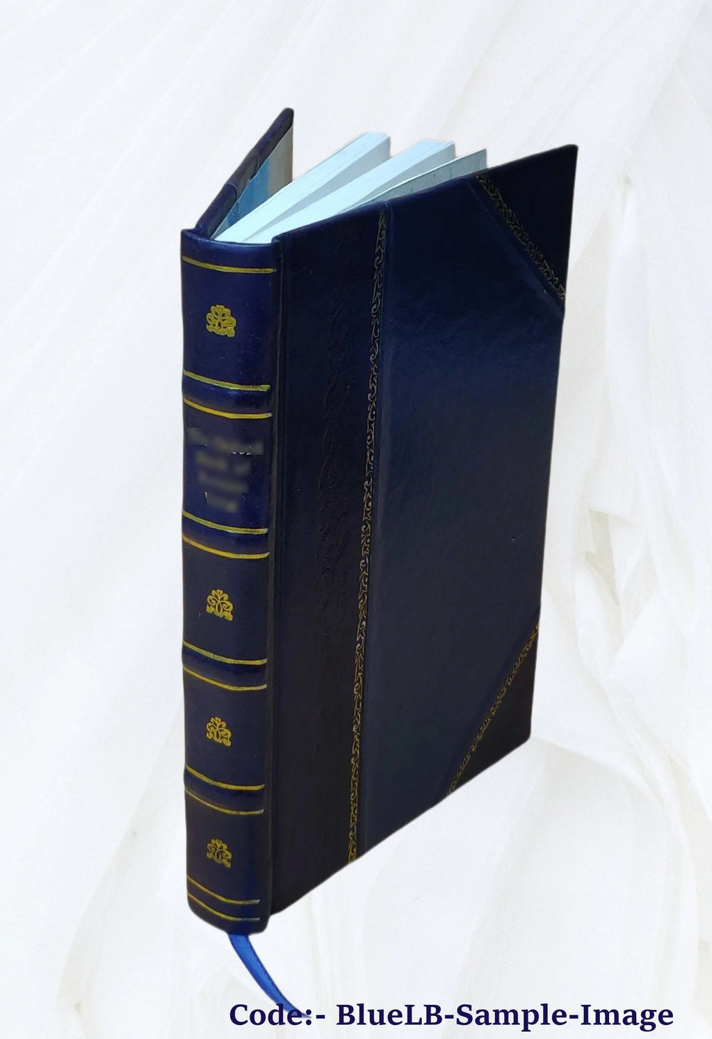 Leather Bound Book N847051