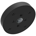 Matte Black Single-Setting Shower Head C485