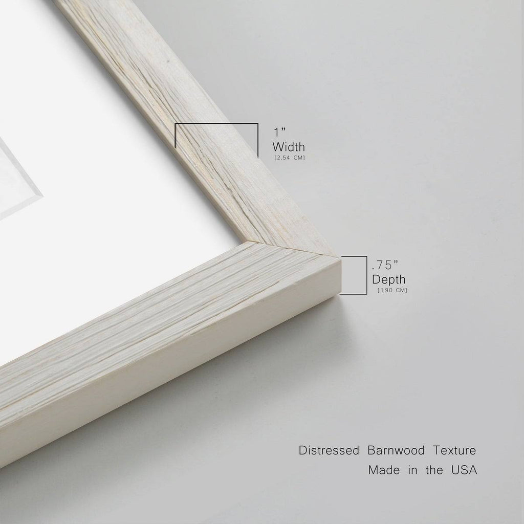 Walnut Framed Print V7497