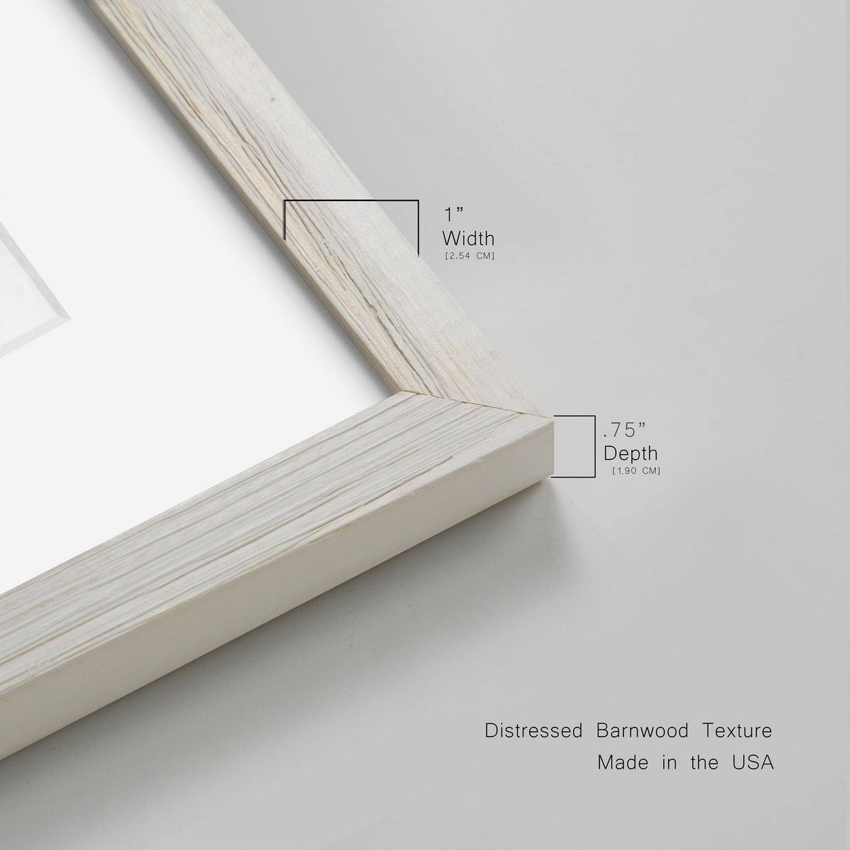 Walnut Framed Print V7497