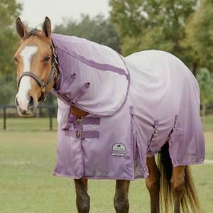 Dusty Violet Ombre Fly Sheet B765