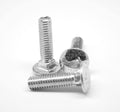 Coarse Thread Carriage Bolt Stainless Steel 18-8 L4257