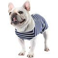 Dog Diapers Sanitary Panties Pet Recovery Suit D45072