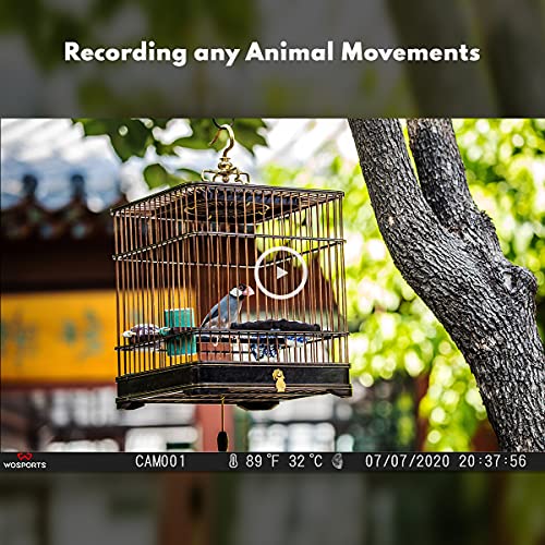 Mini Trail Camera 2 Pack 24MP 1080P HD Night Vision Motion Activated Game Camera Z270640