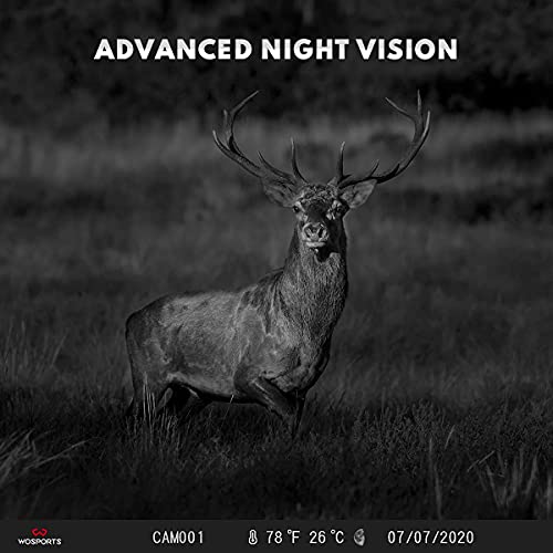 Mini Trail Camera 2 Pack 24MP 1080P HD Night Vision Motion Activated Game Camera Z270640