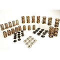 High RPM Springs & Titanium Retainers Q89274