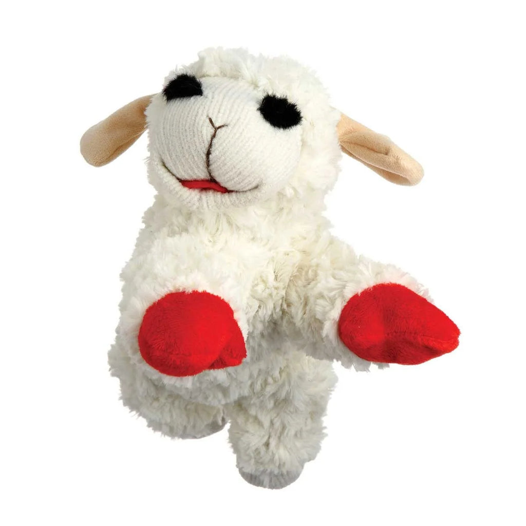 Soft Plush Squeaker Dog Toy G21236