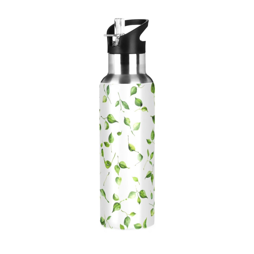 20 oz Insulated Stainless Steel Water Bottle with Straw Lid I127