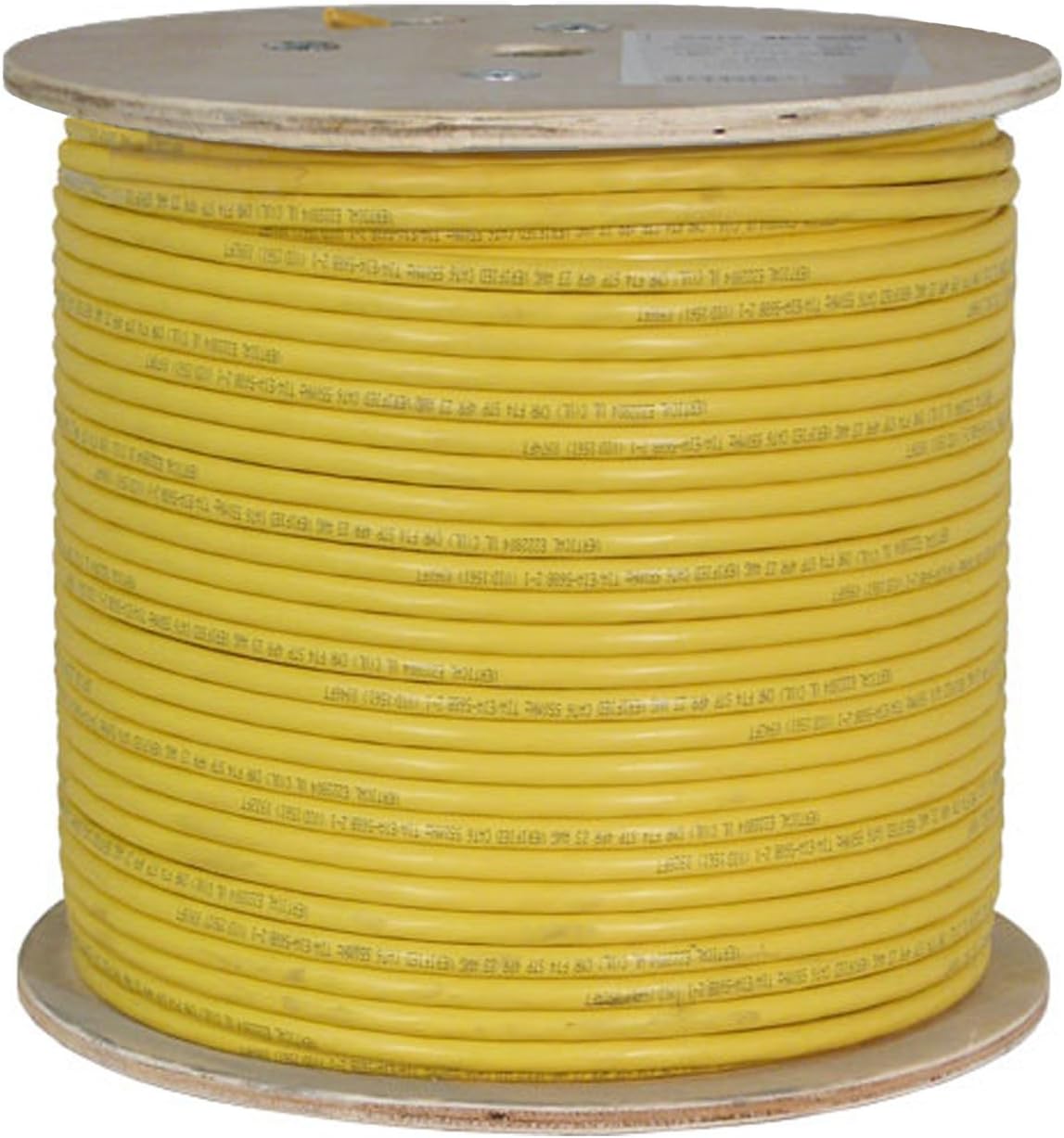 Blue Cat6A 1000ft Bulk Ethernet Cable E271