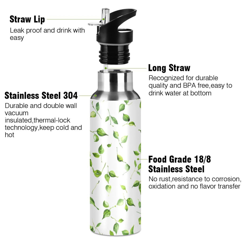 20 oz Insulated Stainless Steel Water Bottle with Straw Lid I127
