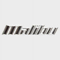 13 3/4 Inch Silver Hard Plastic Raised Decal E66396