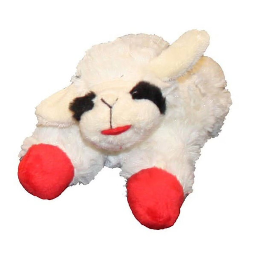 Soft Plush Squeaker Dog Toy G21236
