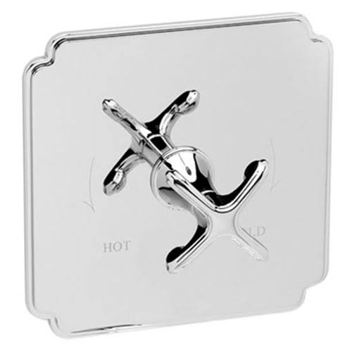 Uncoated Polished Brass Shower Trim Plate with Lever Handle A6444